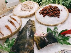 东星斑清蒸-旺顺阁海鲜广场(亚运村店)