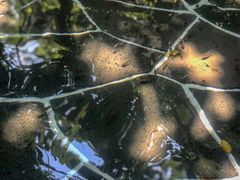 -广州锦绣香江度假别墅