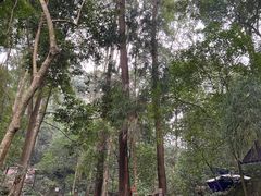 -都江堰普照寺