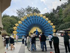 -西双版纳勐泐文化旅游区