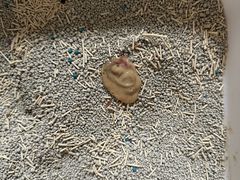 -美联众合动物医院·内科·皮肤科·外科(古城分院)