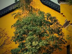 -上海青龙寺