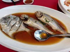 小黄鱼-明州小宴(文化广场店)