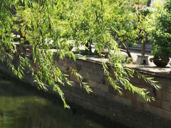 -午潮山国家森林公园