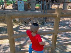 -石家庄市动物园