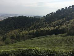 -敬亭山风景名胜区