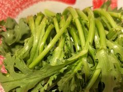 茼蒿-东门口·新式老北京火锅(河西龙湖天街店)