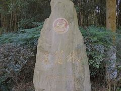 -邓小平故里