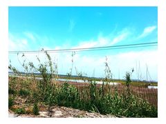 -南汇嘴观海公园