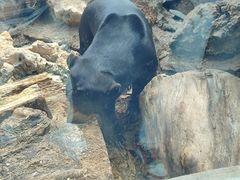 -昆明动物园