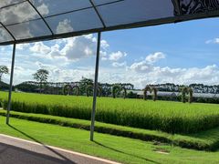 -迪茵湖田家舍生态农场