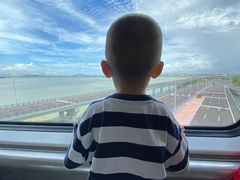 -宝安西湾红树林湿地公园