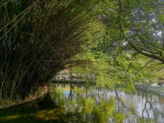 -棠湖公园