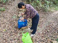 -杭州半山国家森林公园