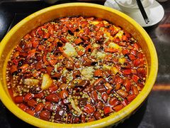 -陈麻婆豆腐总店