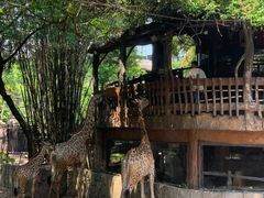 -长鹿旅游休博园