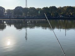 -新怡路亚垂钓园