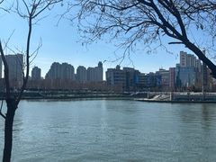 -桃花堤公园