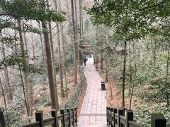 -凤栖山