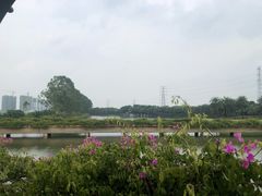 -迪茵湖田家舍生态农场