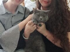 -我爱猫咪·猫咖·狗咖·安哥拉兔·羊驼咖(小寨华旗店)