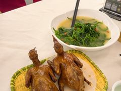 -五谷芳乳鸽王(海景店)