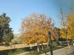 -西安城墙·碑林历史文化景区