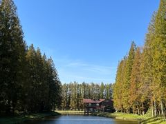 -黄海国家森林公园