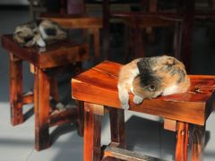 -新疆狼爷烤肉(宋庄店)