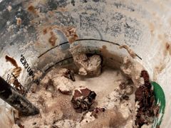 -星巴克(北辰西路店)