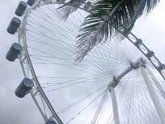 -新加坡摩天观景轮