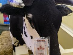 -红星前进面包牛奶公司(君太店)