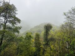 -杭州林泉山庄