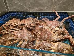 -东海怡品海鲜豆捞(星街坊店)