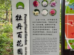 -洛阳市隋唐城遗址植物园