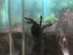 -福州罗源湾海洋世界旅游区