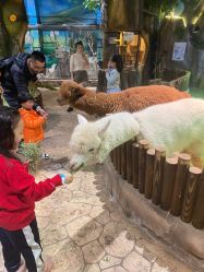 -宝燕乐园(闵行旗舰店)