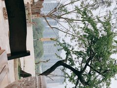 -悦哉·派对·草坪婚礼·围炉煮茶(三圣乡店)