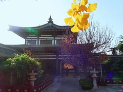 -法门文化景区