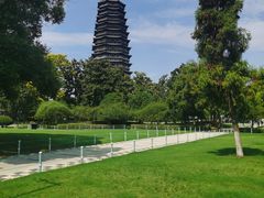 -红梅公园