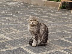 -宝通禅寺