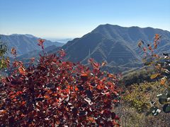 -大岭沟猕猴桃谷风景区