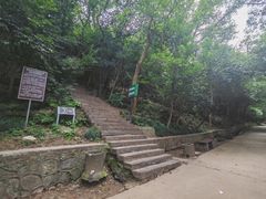 -紫金山山顶公园