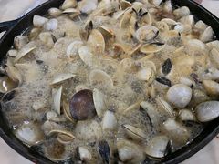 -顺德哥卜卜贝(旗舰店)