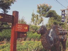 -倒盏民俗文化村