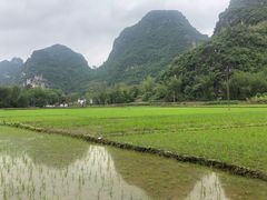 -明仕田园