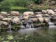 -白水寺森林公园