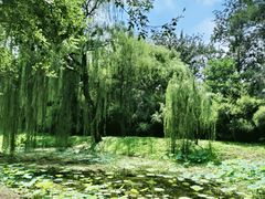 -颐和园