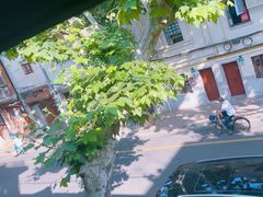 -TonTon(永康路店)