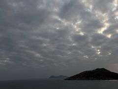 -广东惠东海龟国家级自然保护区